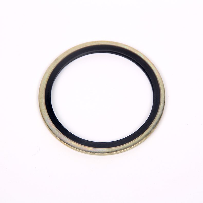 Stainless steel bonded seal
